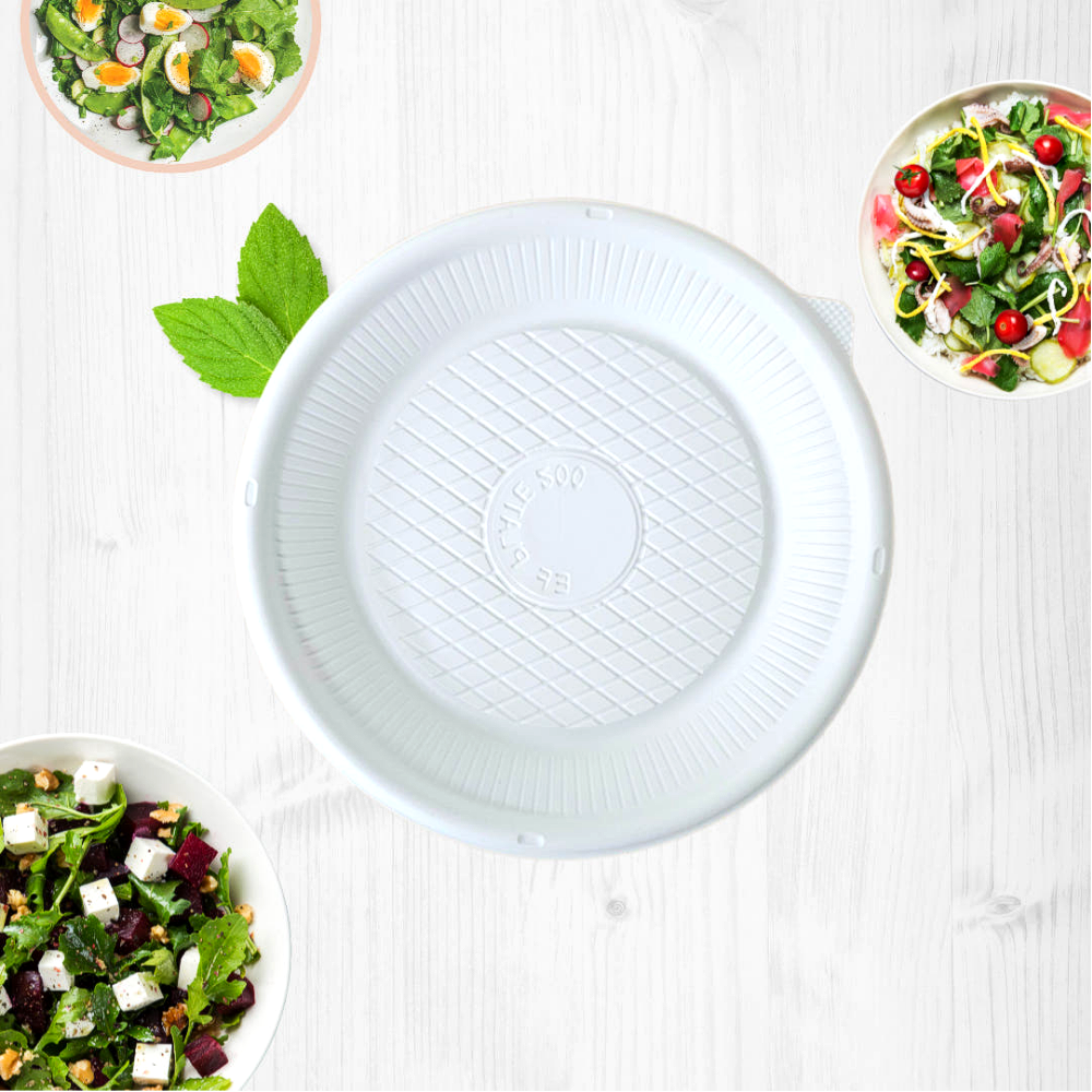 국산 아이존 친환경 이산화규소 업소 일회용 접시 20cm 10개 뷔페 캠핑 배달 포장 용기 - 상품 이미지