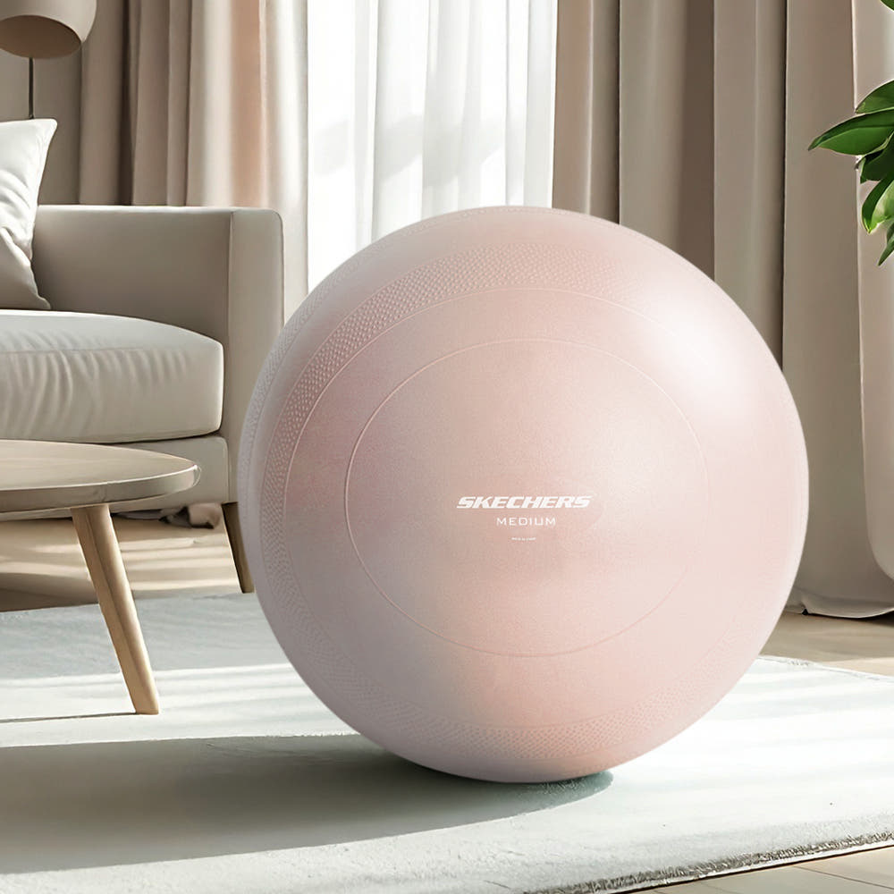 스케쳐스 짐볼 안티버스트 65cm 소프트피치 가격 비교 스케쳐스피트니스 스케쳐스 짐볼 안티버스트 65cm 소프트피치