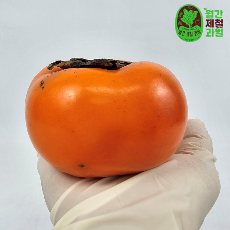 햇감 청도반시 감 태추 태주단감 배 반홍시 연시감 홍시감 - 상세 이미지 3
