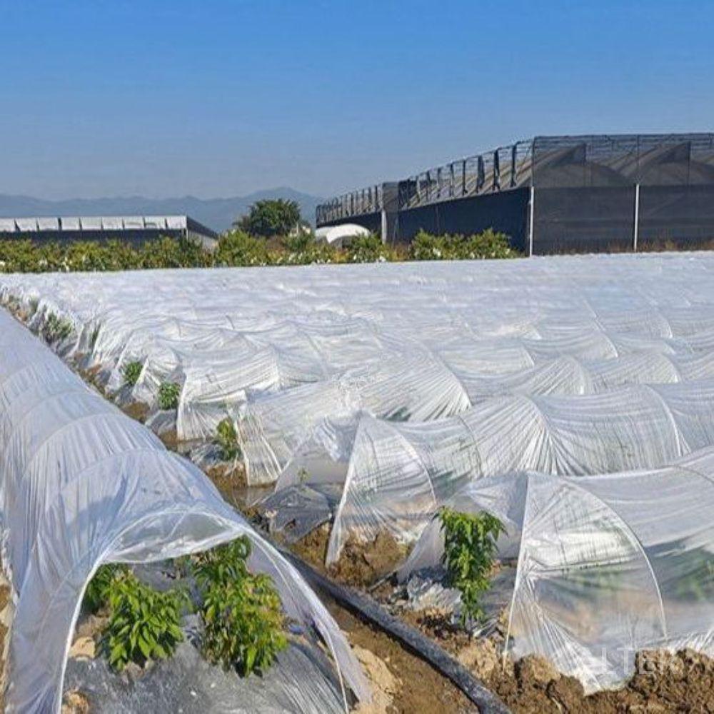 농업용 활대 온실 파이프 하우스 원예 조립식 두께 8mm 길이 3.5m 100개 - 상세 이미지 2