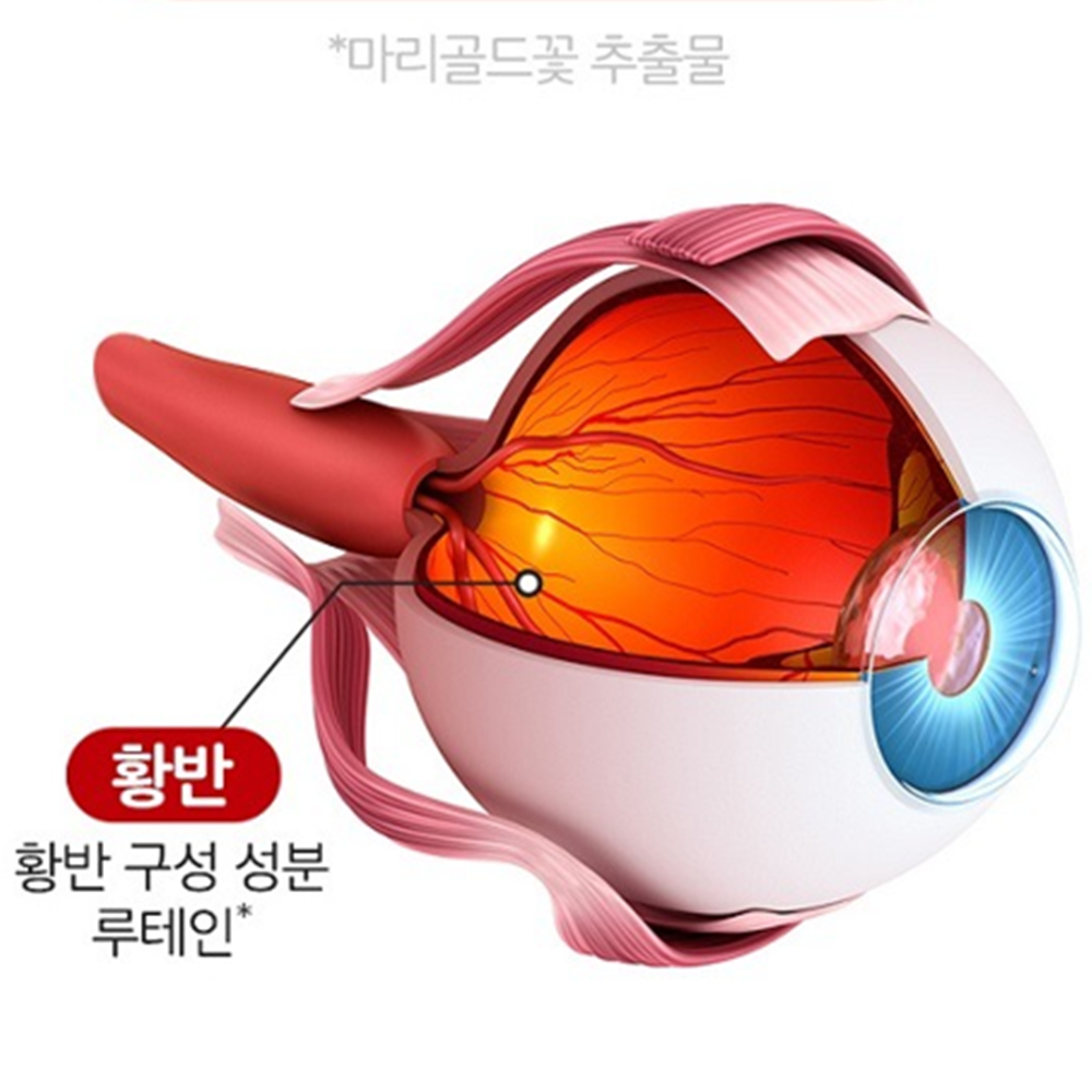 엔젯오리진 아이케어 루테인 구미 젤리 90개 6박스 눈 건강 영양 마리골드꽃추출물 효능 - 상세 이미지 3