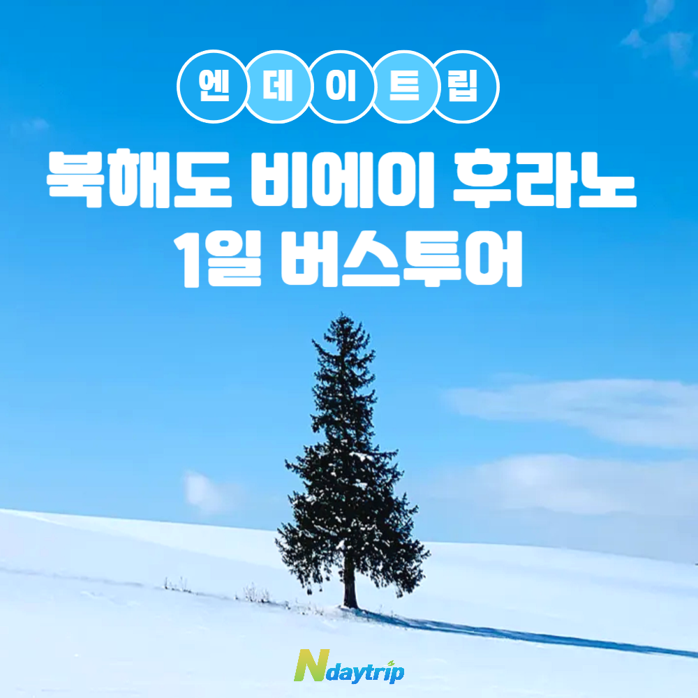[매일출발/쥰페이예약] 삿포로 비에이 후라노 버스투어 엔데이트립