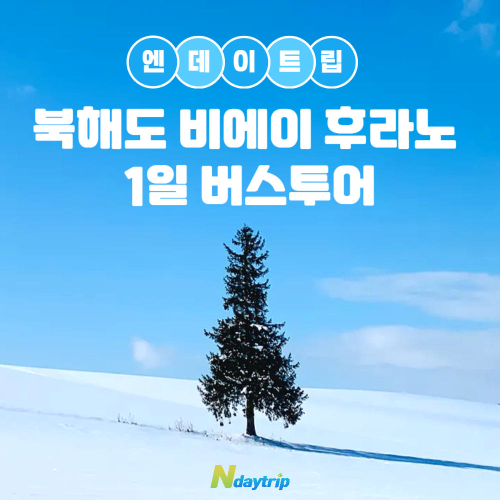 후라노 눈 덮인 길과 풍경