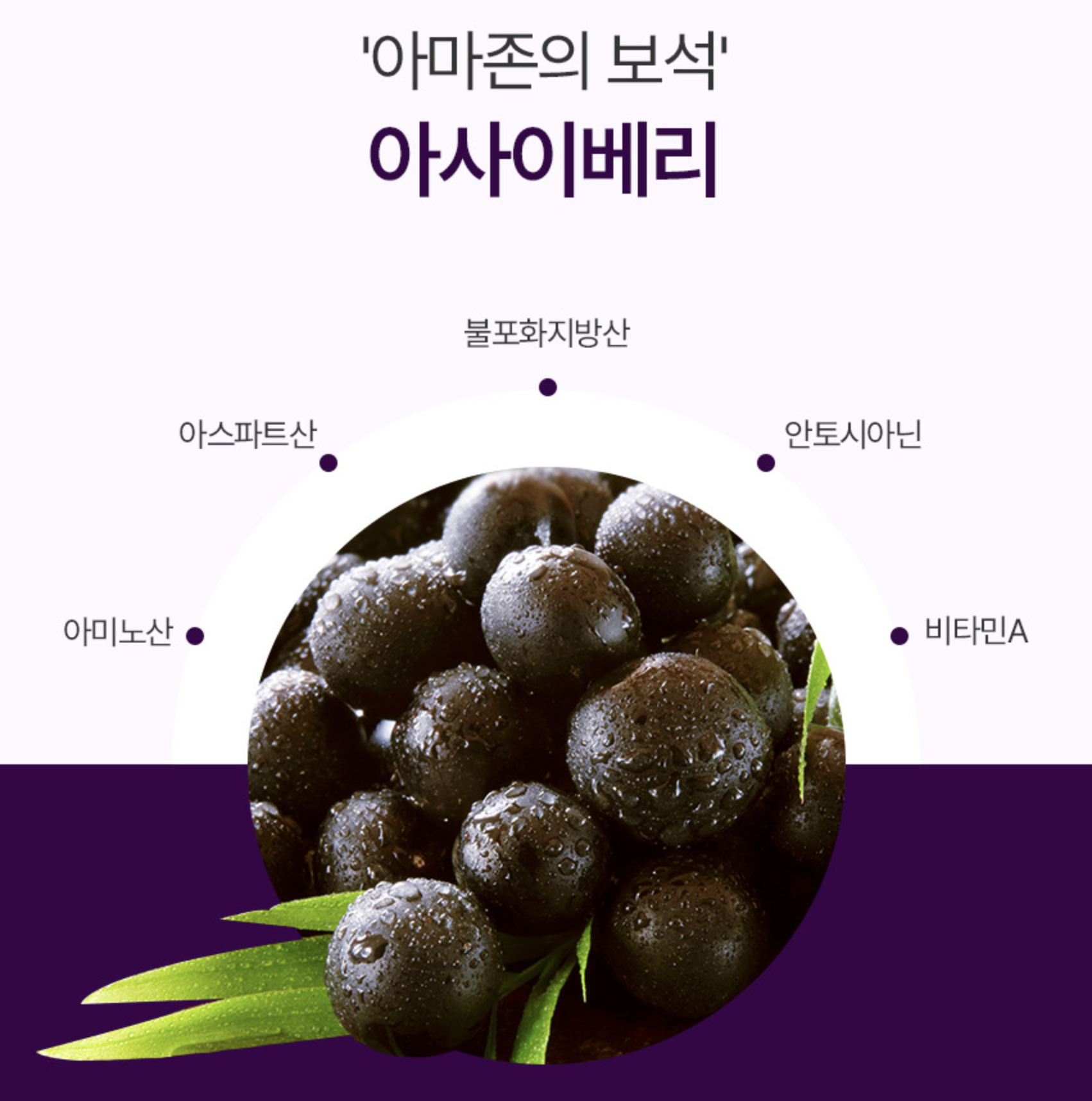 유기농 아사이베리 농축 분말 브라질산 순수 아사이 베리 파우더 - 상세 이미지 5