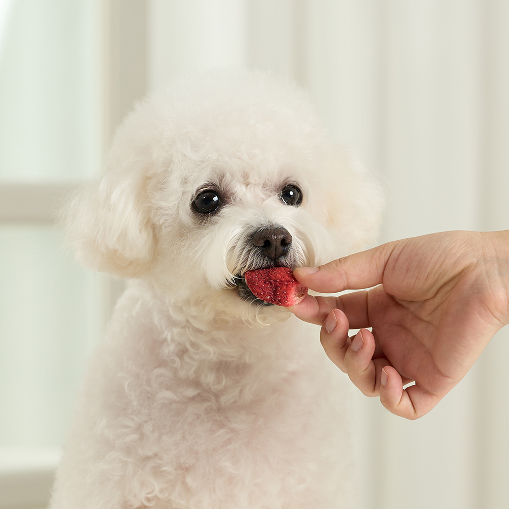 펫생각 믹스 동결건조 강아지 간식 비건 알러지 딸기 바나나 블루베리 과일, 25g, 1개