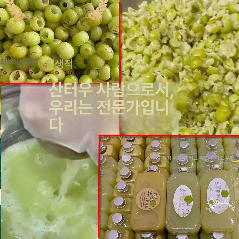 대추씨 빼는 기계 체리 과일 씨앗 청 만들기 탕후루  산자 전용 11mm 12mm 튜브 포함 - 상세 이미지 5