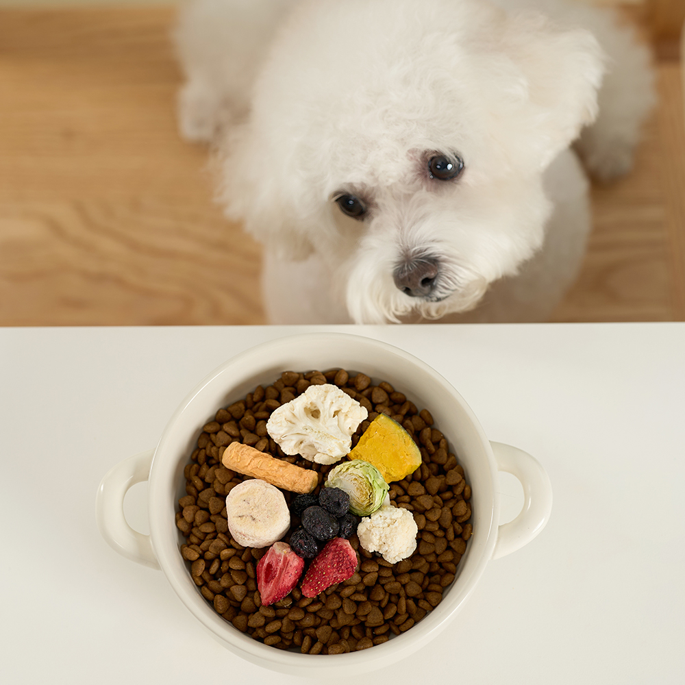 펫생각 믹스 동결건조 강아지 간식 비건 저알러지 단호박 당근 양배추 채소, 25g, 1개