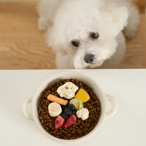 펫생각 믹스 동결건조 강아지 간식 비건 저알러지 단호박 당근 양배추 채소... 솔직 후기 | 실제 사용자 리뷰 총정리 - 상품 이미지 4