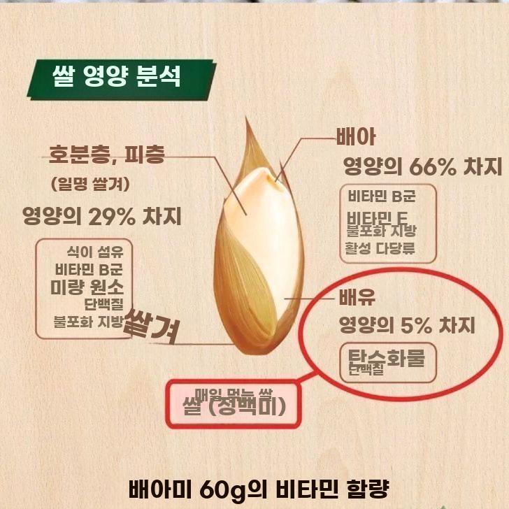 가정용 자동 현미제분기 다기능 도정기 탈곡 분쇄 - 상세 이미지 5