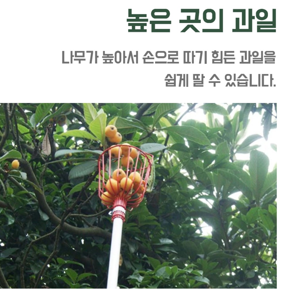 높은 과일 따는 기구 열매 따는 도구 감 따는 가위 - 상세 이미지 2