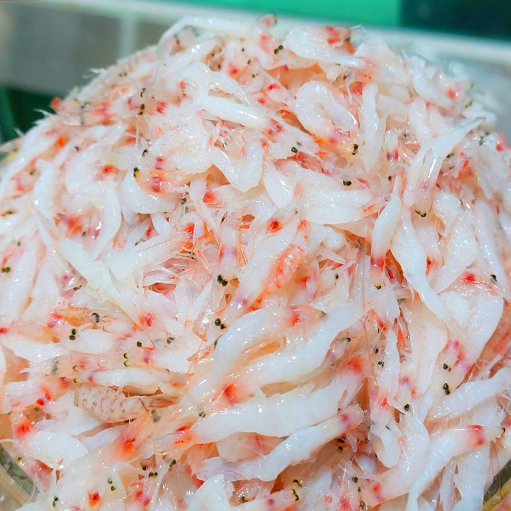 국산 신안 천일염 추젓 새우젓 2kg 김장 젓갈 - 상세 이미지 5