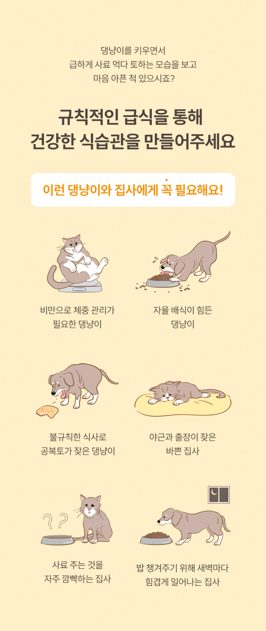 헤이홈 스마트 펫 자동 급식기 고양이 강아지 반려동물 판매처 상세 정보 이미지 4