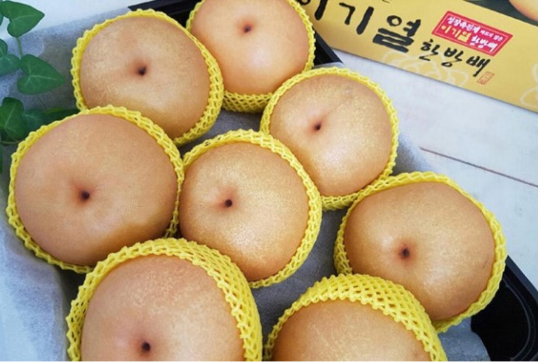 [이기열 한방배] 배선물세트 GAP 농림부장관상 명인이 재배한 고당도 배 나주배 원예농협 - 상세 이미지 3