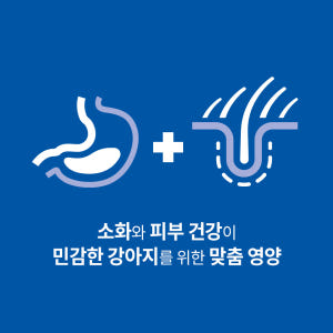 힐스 강아지사료 어덜트 센서티브 스토막 앤 스킨 텐더 치킨 스튜 주식캔 ... 솔직 후기 | 실제 사용자 리뷰 총정리 - 상품 이미지 2