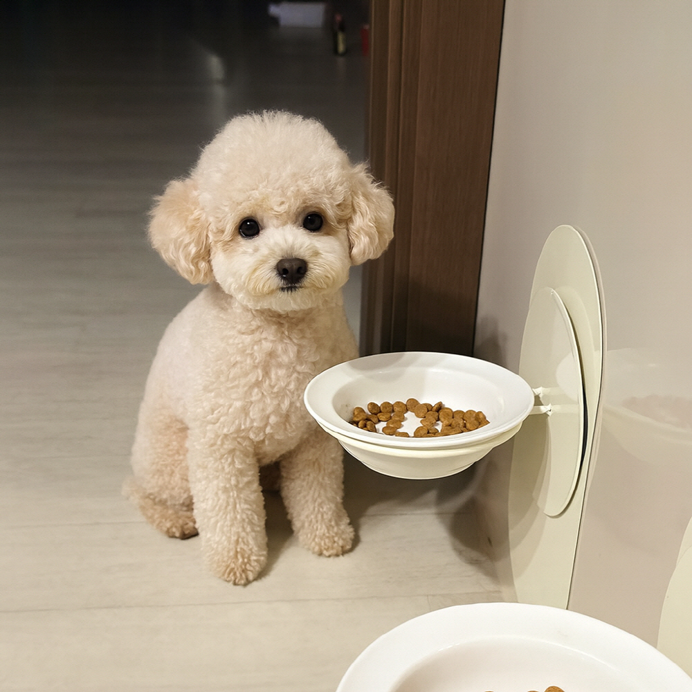 강아지밥그릇 고양이밥그릇 도자기 높이조절 물그릇 분리세척 식기 1구