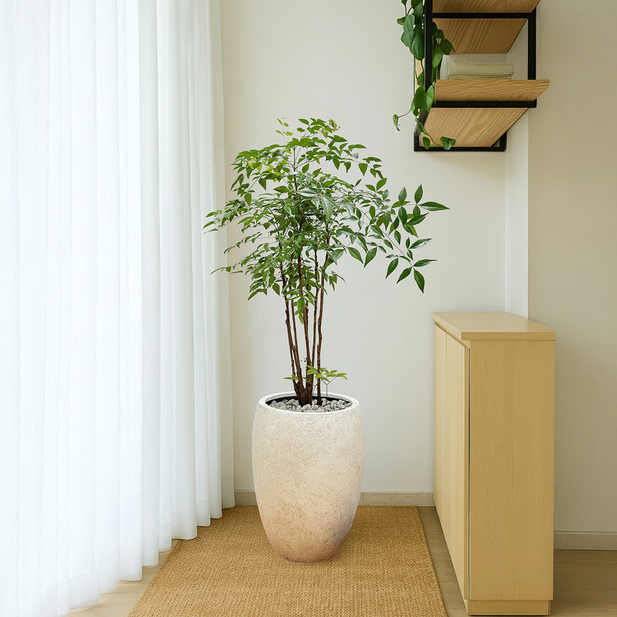 남천나무 관엽 프리미엄화분 반려식물 개업축하 집들이선물 공기정화 거실인테리어 카페 사무실