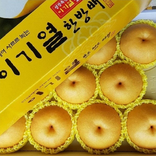 [이기열 한방배] 배선물세트 GAP 농림부장관상 명인이 재배한 고당도 배 나주배 원예농협 - 상품 이미지