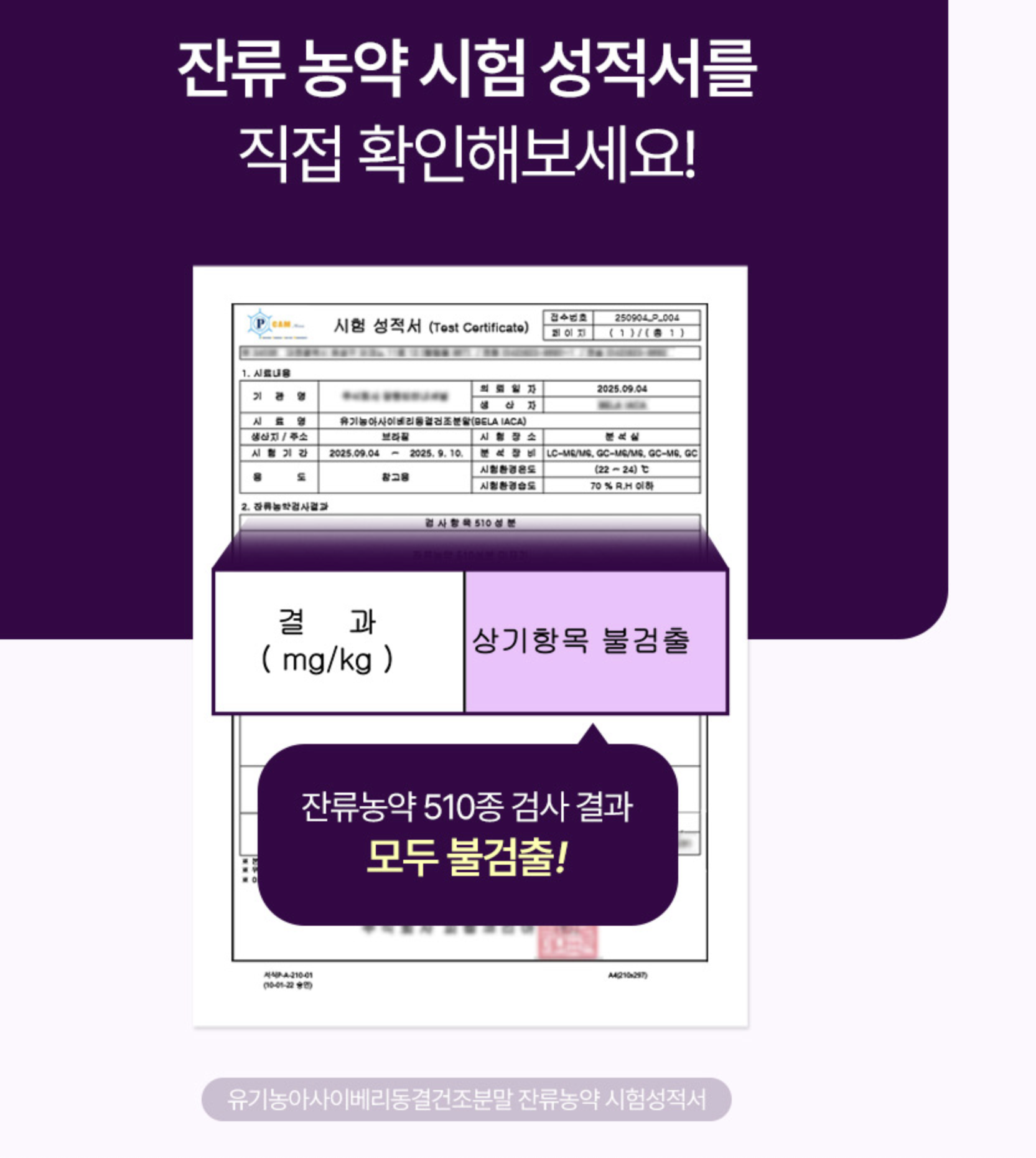 유기농 아사이베리 분말 아사이베리 동결건조 생식 브라질산 아사이 베리 농축분말 이미지 8