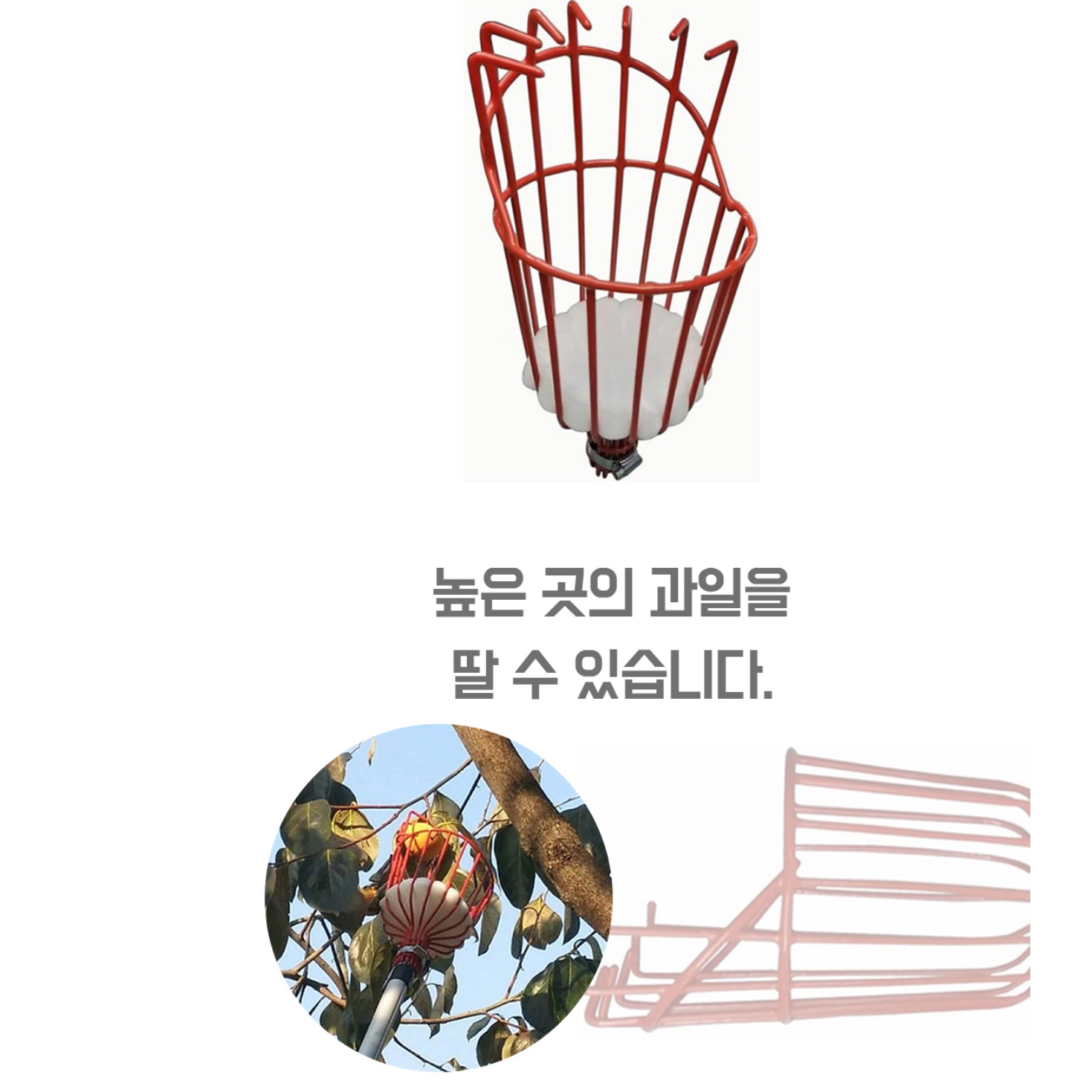 높은 과일 따는 기구 열매 따는 도구 감 따는 가위 - 상세 이미지 3