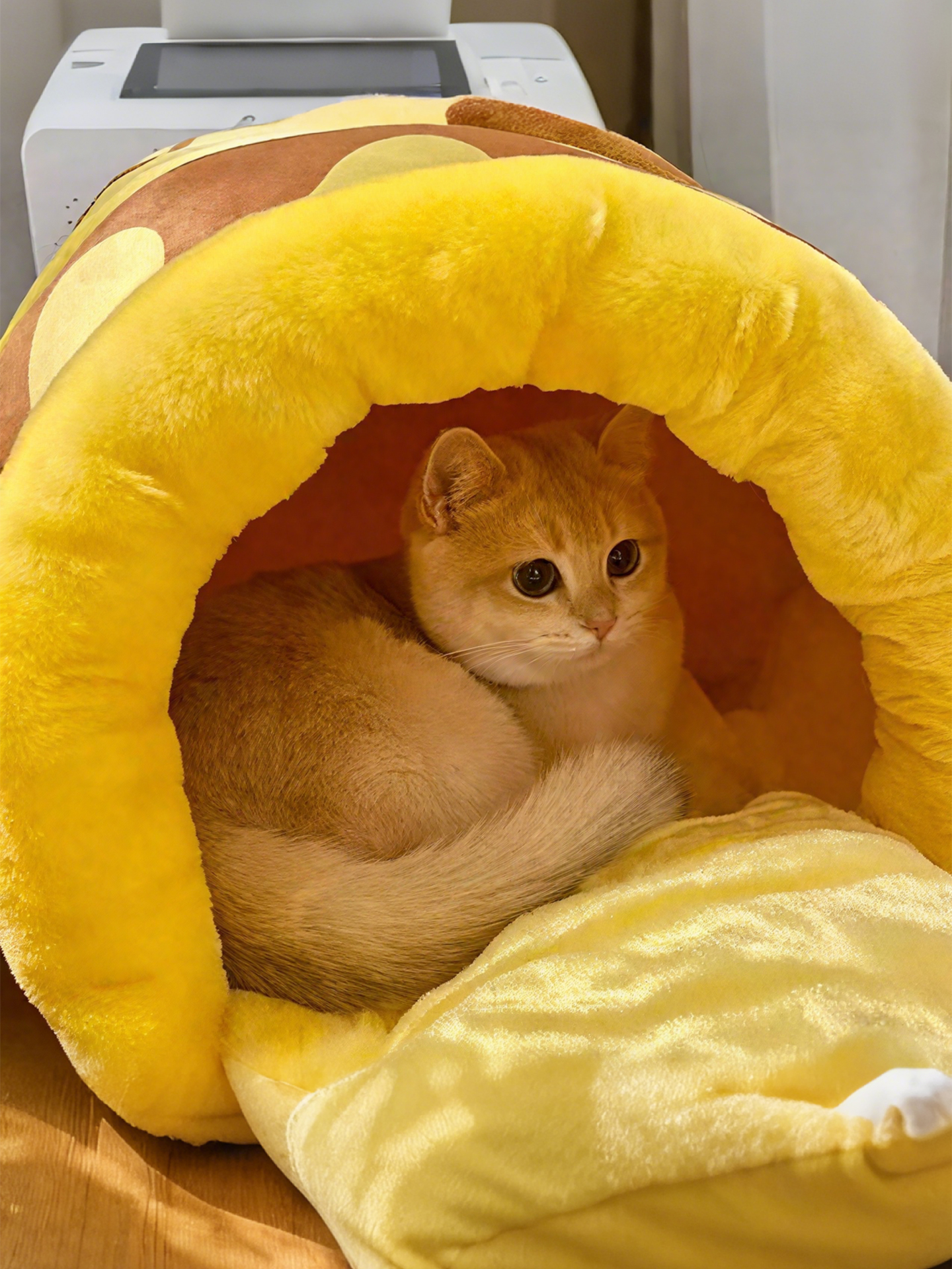 꿀단지 고양이집 강아지집 반폐쇄형 귀여운 사계절 침낭 겨울 보온 허니캔 캣하우스 라지 - 상세 이미지 4