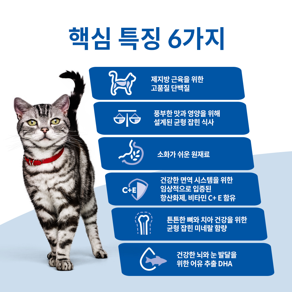 힐스 고양이사료 어덜트 인도어 연어 & 야채 메들리 스튜 156g x 12개 - 상세 이미지 3