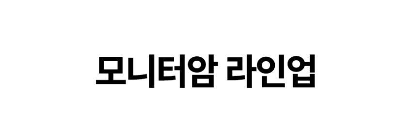 노스바유 NB H180 듀얼 폴타입 모니터암 거치대 판매처 상세 정보 이미지 2