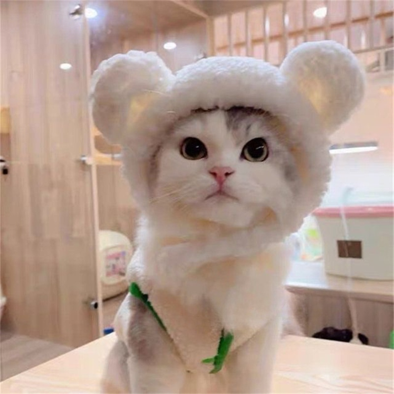 강아지 고양이 귀여운 모자 촬영용 펫모자 가을 겨울용 플러시 헤드 커버 피글렛