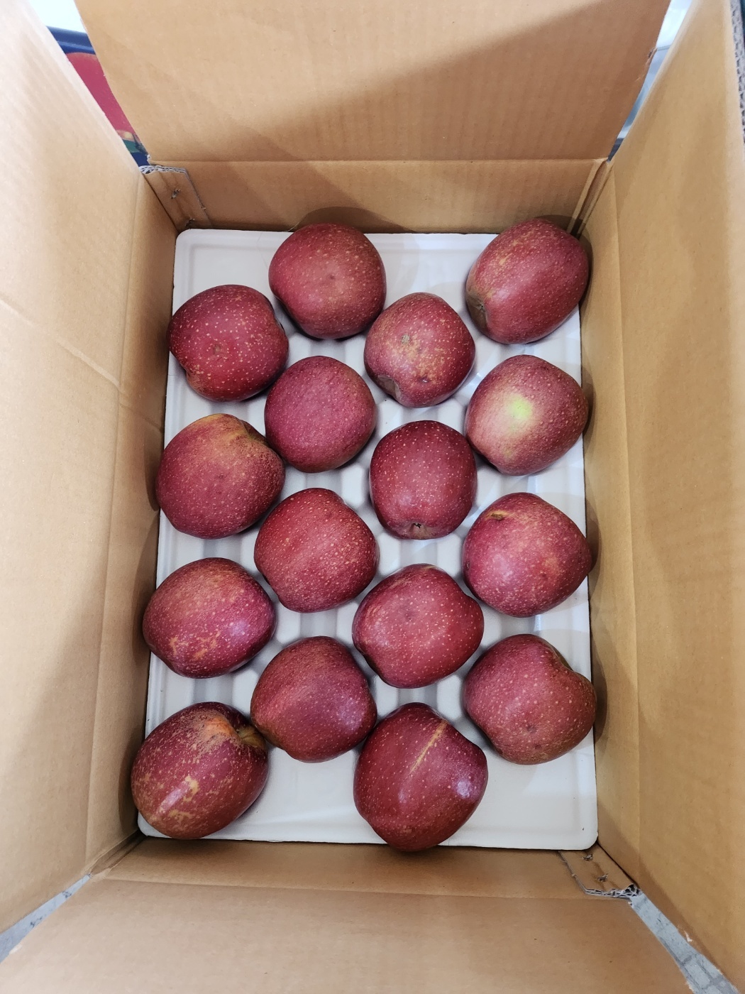 프리미엄 감홍 중과 사과 16Brix, 10kg, 1개 이미지 6