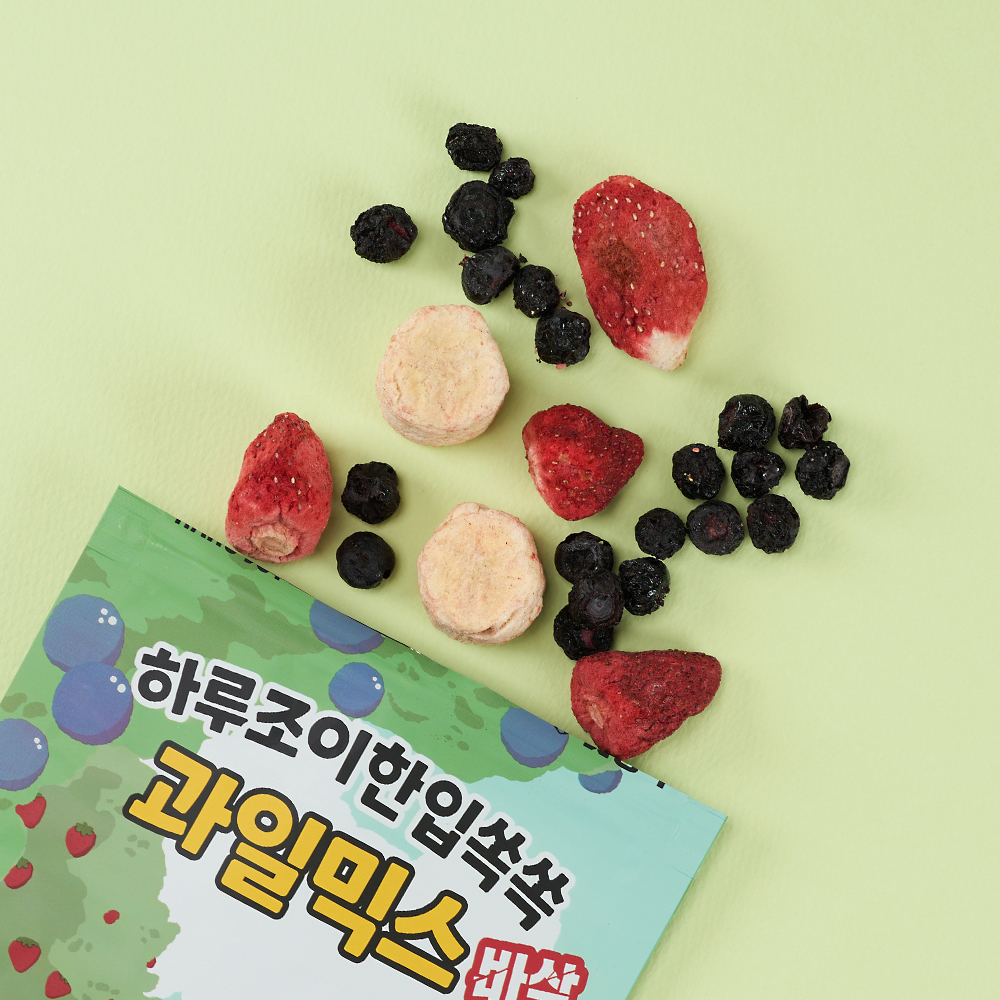 펫생각 믹스 동결건조 강아지 간식 비건 알러지 딸기 바나나 블루베리 과일, 25g, 1개