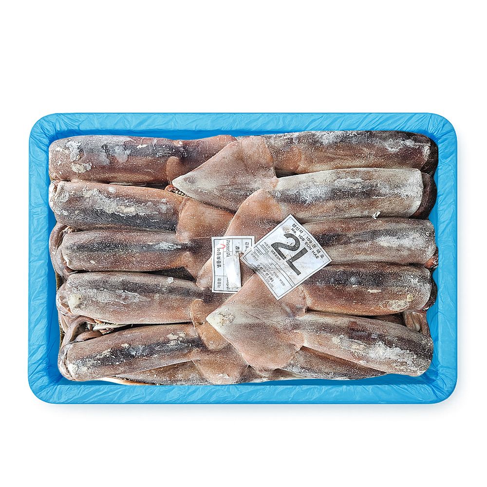 원양산 포크오징어 선동 오징어 20kg 채낚기 냉동 포클랜드 수입산 업소용 이미지 2