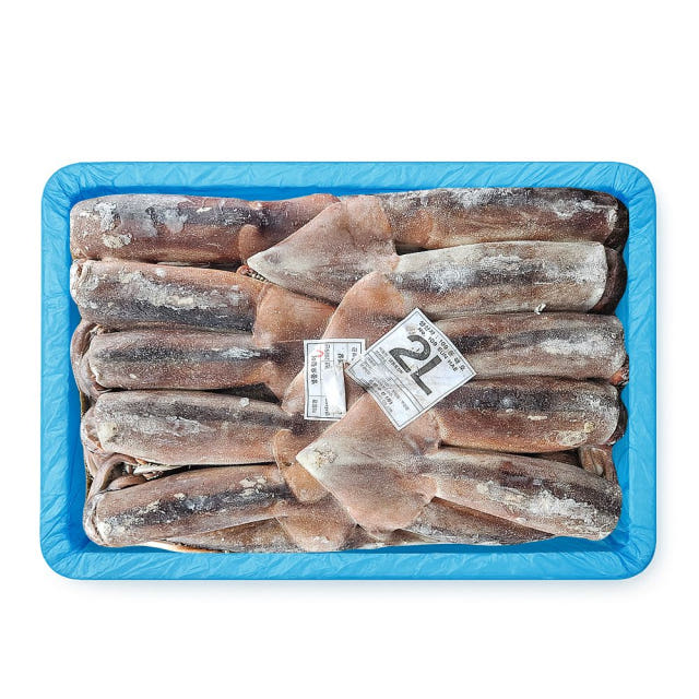 원양산 포크오징어 선동 오징어 20kg 채낚기 냉동 포클랜드 수입산 업소용 — 마무리