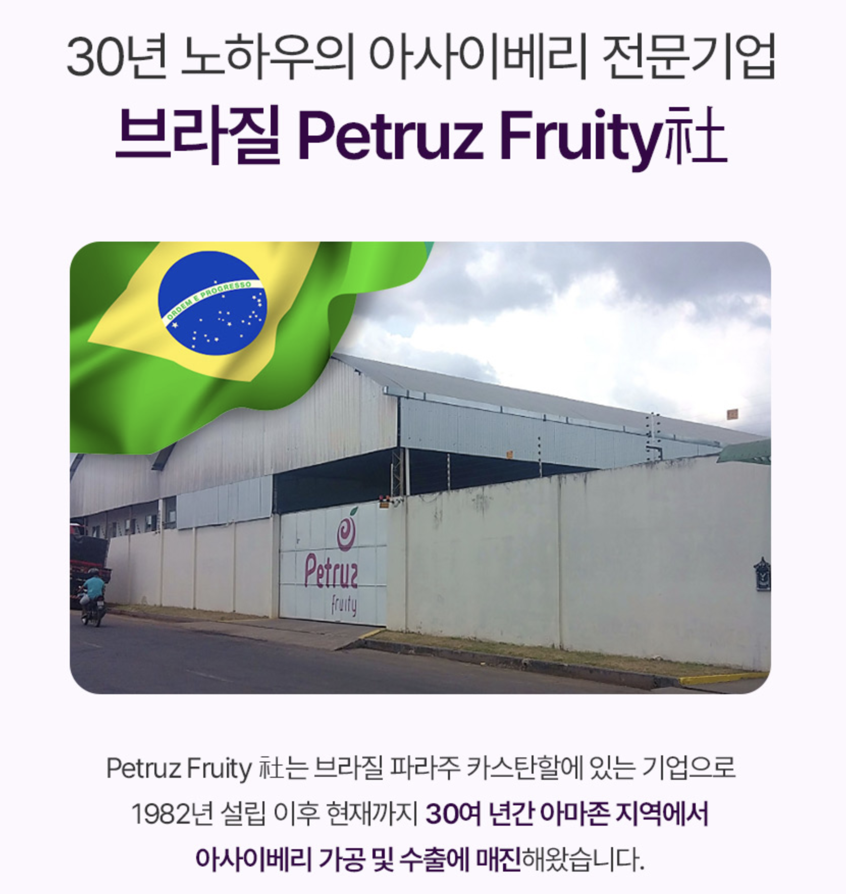 유기농 아사이베리 분말 아사이베리 동결건조 생식 브라질산 아사이 베리 농축분말 이미지 6