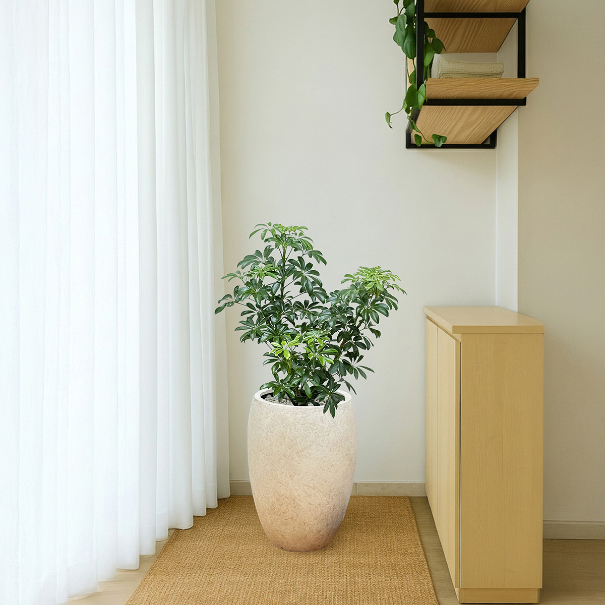 남천나무 관엽 프리미엄화분 반려식물 개업축하 집들이선물 공기정화 거실인테리어 카페 사무실