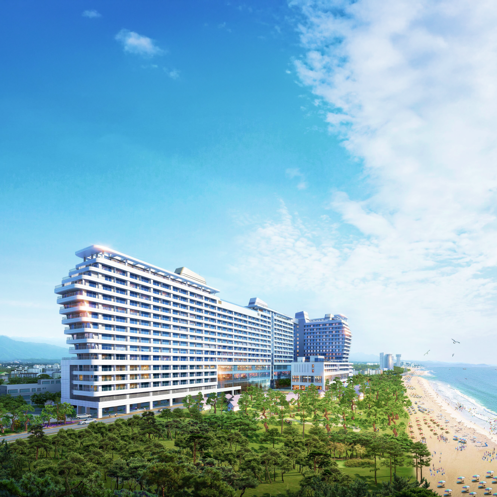 [강원도] 세인트존스 호텔 - 펫동반 객실 / 조식 불포함 기획가 숙박권 / 애견용품 포함