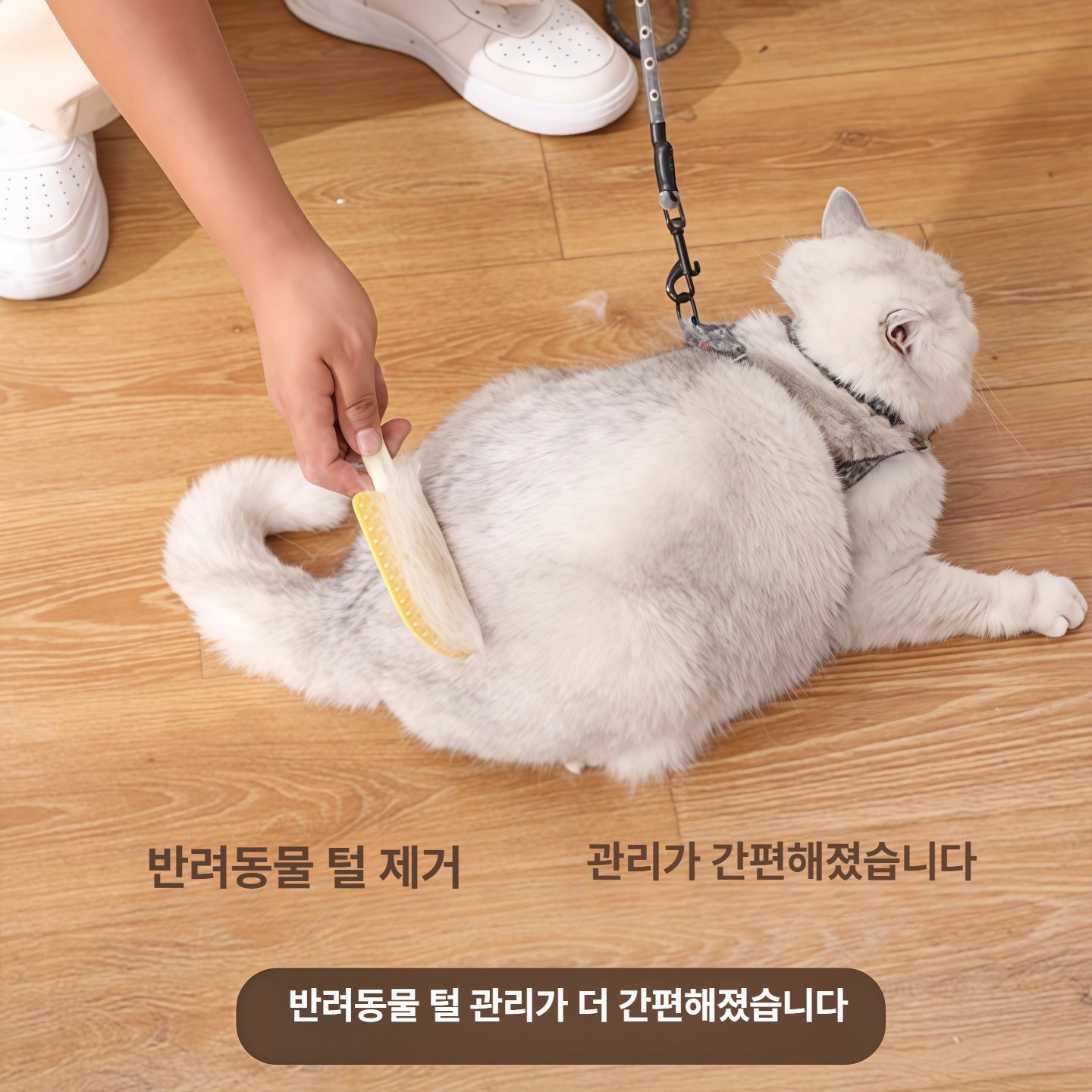 털제거 브 고양이 강아지 털청소 프룻그린 양면 걸이형 이빨 - 상세 이미지 4