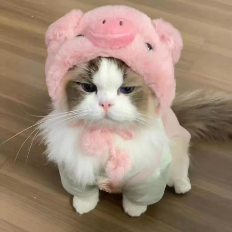 강아지 고양이 귀여운 모자 촬영용 펫모자 가을 겨울용 플러시 헤드 커버 피글렛