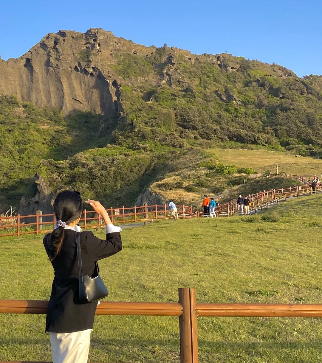 핫플트립 제주도버스투어 뚜벅이 패키지 일일여행 제주여행 액티비티 택시 투어패스 겨울 동백 상세 이미지 4