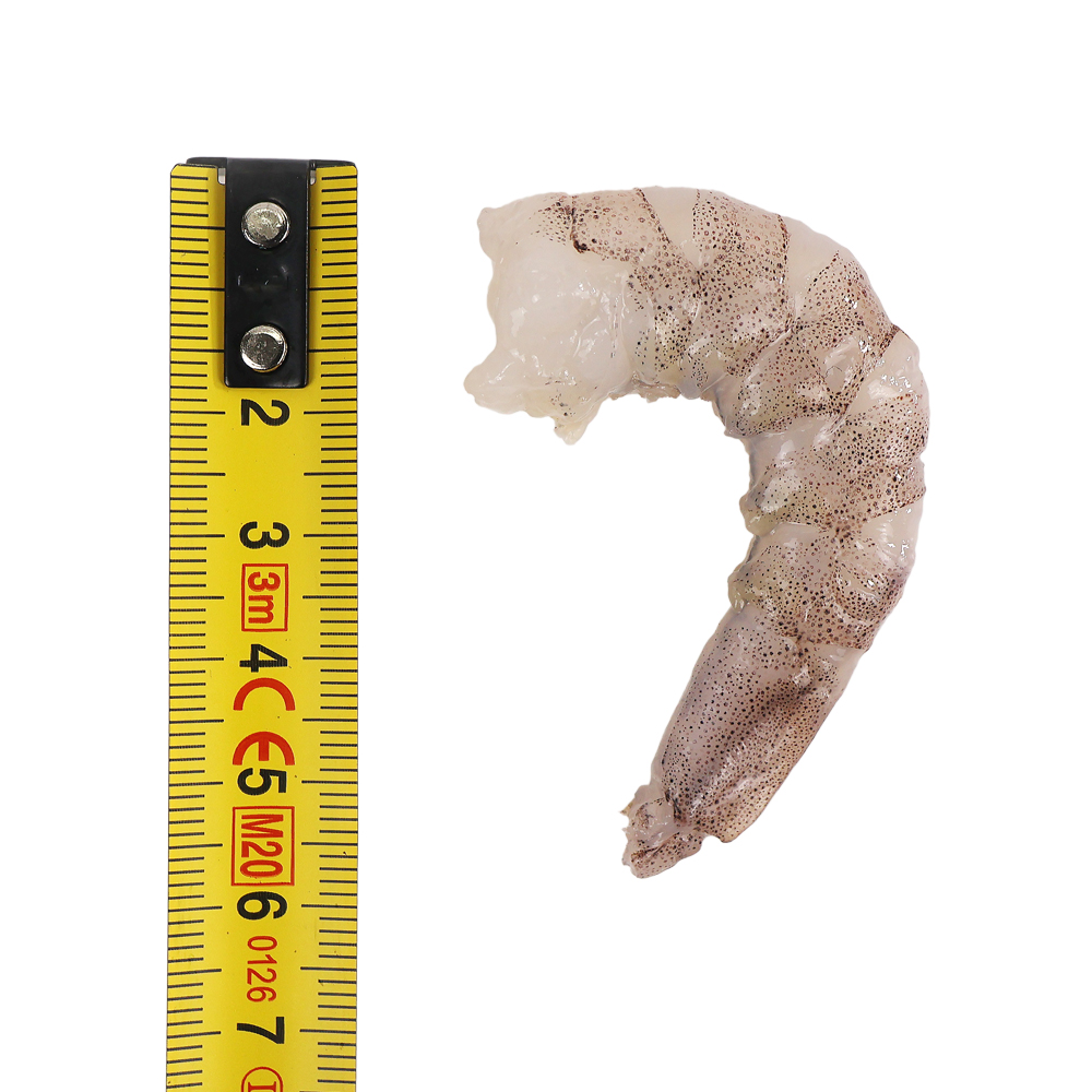 흰다리새우살 4.5kg 백새우살 알새우 깐 손질 냉동 새우살 두절 탈각 이미지 8