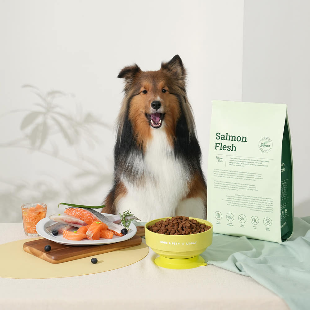 본아페티 플러스 강아지 눈물 눈건강 스팀 저알러지 프리미엄 찐 수제사료 연어, 1kg, 1개 - 상품 이미지