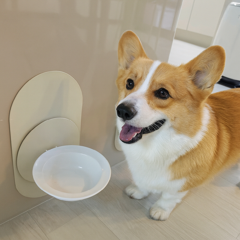 강아지밥그릇 고양이밥그릇 도자기 높이조절 물그릇 분리세척 식기 1구