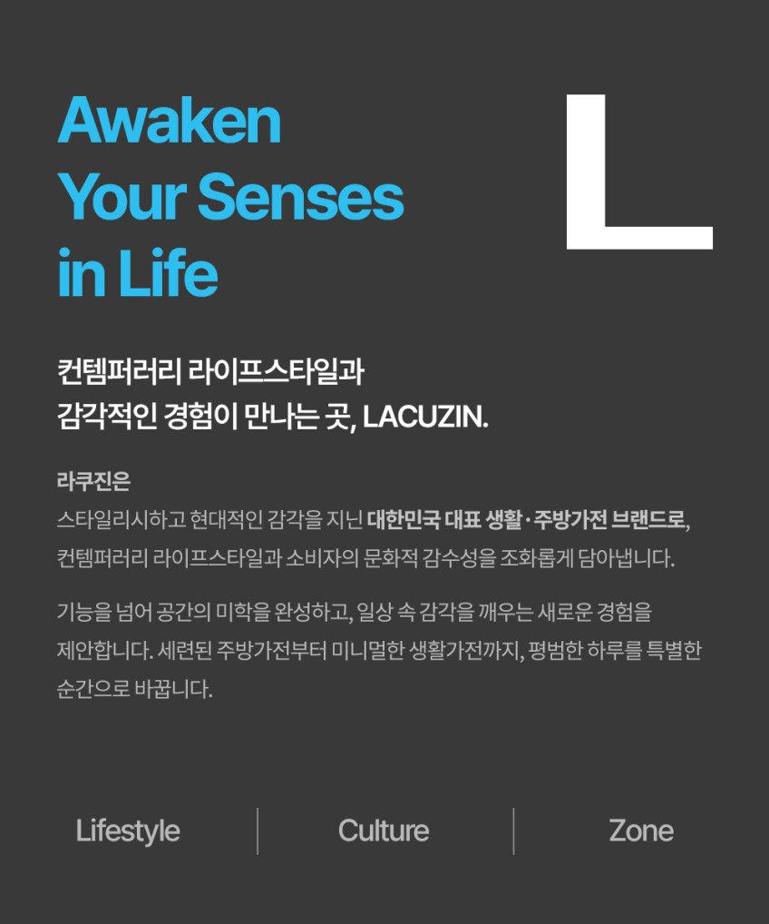 라쿠진 살균 접이식 핸디 스팀다리미 휴대용 폴더블 스팀 LCZ780 판매처 상세 정보 이미지 1