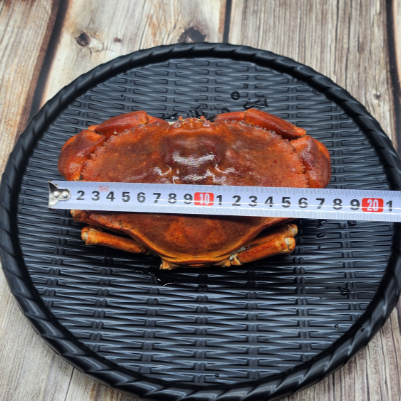 자연가득 이탈리아 최고급 식재료 브라운 마몰라 던지니스 크랩 1kg 1미 - 상세 이미지 5