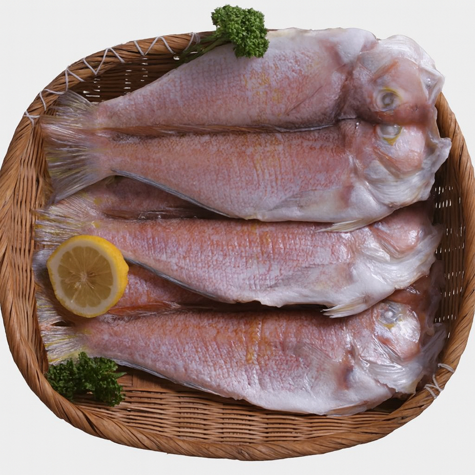 제주 산지직송 반건조 참옥돔 대 특대 1kg~3kg - 상세 이미지 2