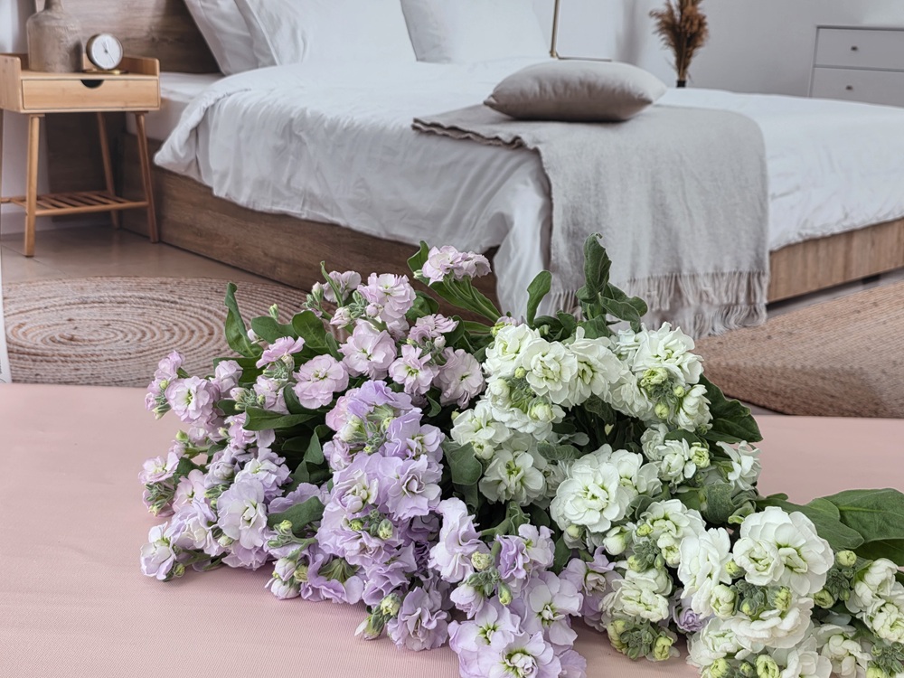 유스풀몰 스톡 2송이 스토크 생화 꽃배달싼곳 꽃 이미지 4