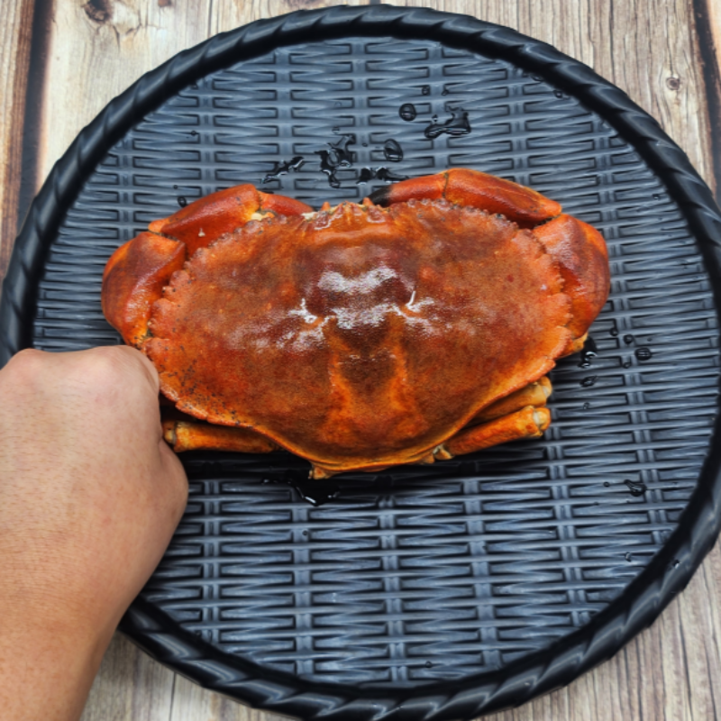 자연가득 이탈리아 최고급 식재료 브라운 마몰라 던지니스 크랩 1kg 1미 - 상세 이미지 2