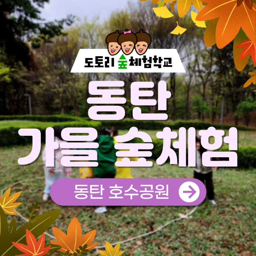 동탄호수공원 가을 숲체험 원데이 에코힐링 by 도토리 숲체험학교 - 상품 이미지