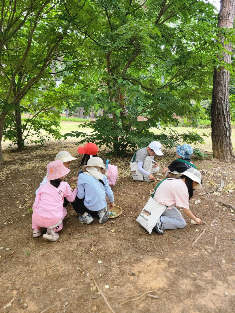 광교호수공원 가을 숲체험 원데이 에코힐링 by 도토리 숲체험학교 - 상세 이미지 2