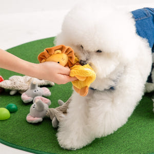 바잇미 바스락 포켓 망토 장난감 3종 (바스락/삑삑/노즈워크) 솔직 후기 | 실제 사용자 리뷰 총정리 - 상품 이미지 3