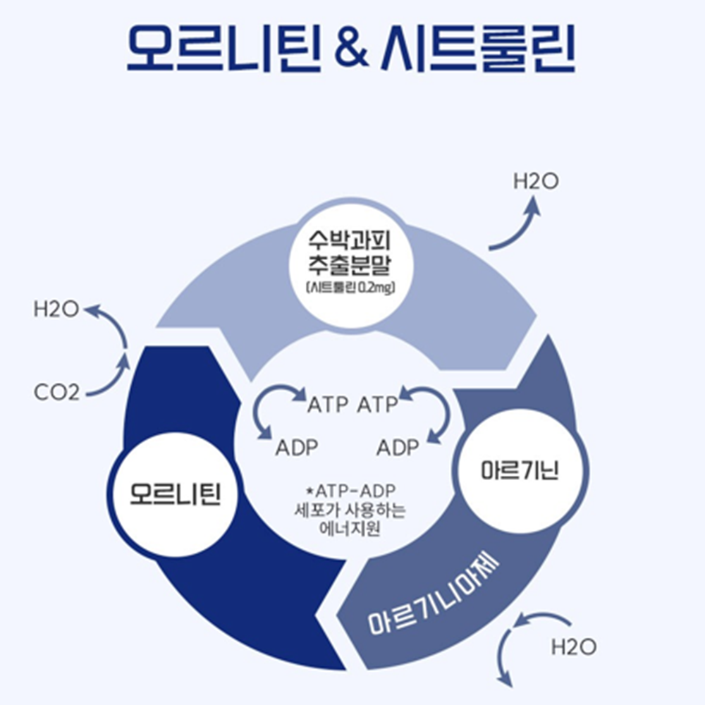 하이맨 L 아르기닌 구미 젤리 스틱 5000 20g 14포 6박스 피로 활력 헬스 부스터 이미지 7
