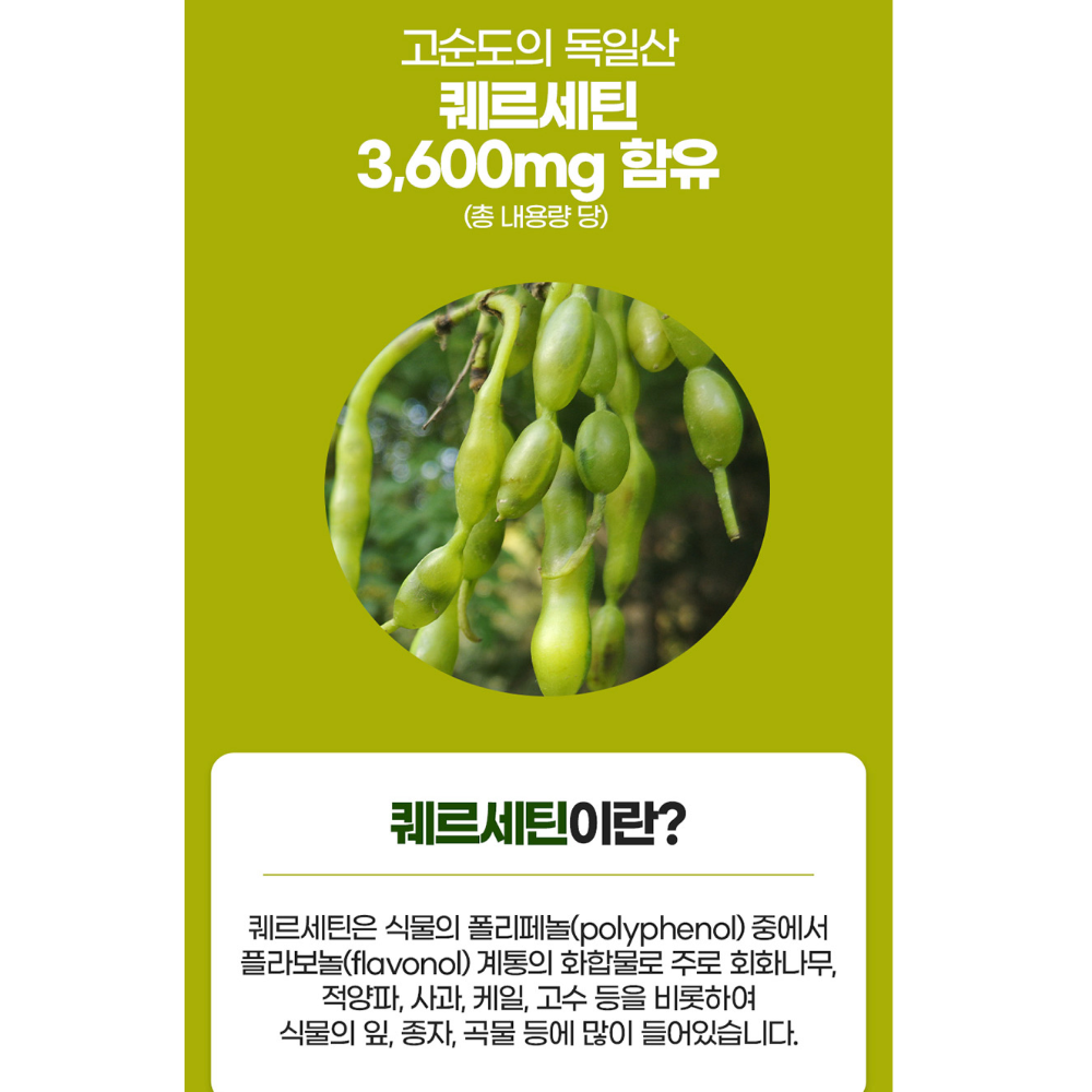 내츄럴플러스 퀘르세틴 브로멜라인 플러스 600mg 식물유래 포뮬라 이미지 7